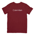 Camisa Calvin Klein Logo Writing